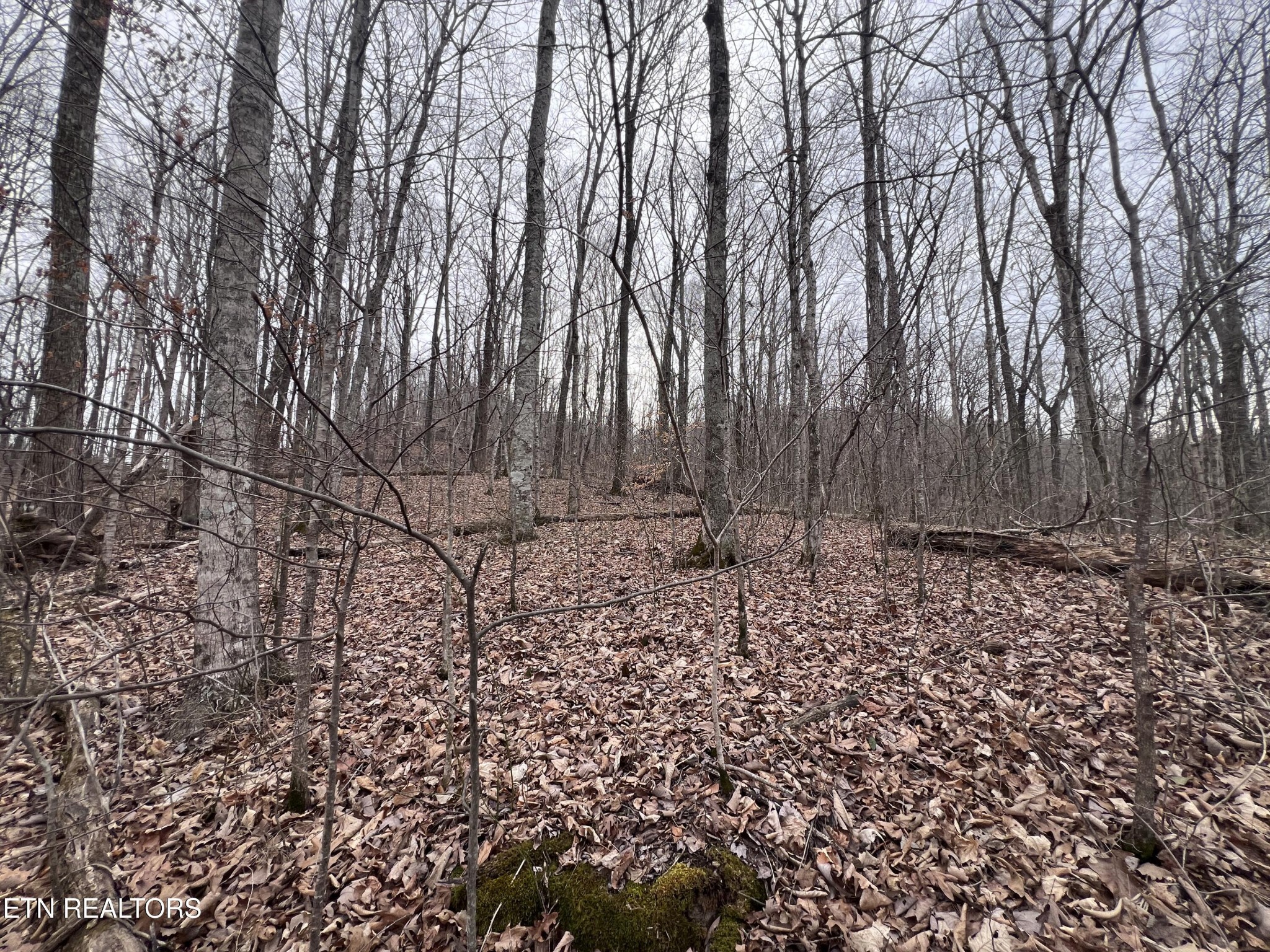 0 Lot 62 Apache Road Jamestown TN 38556
