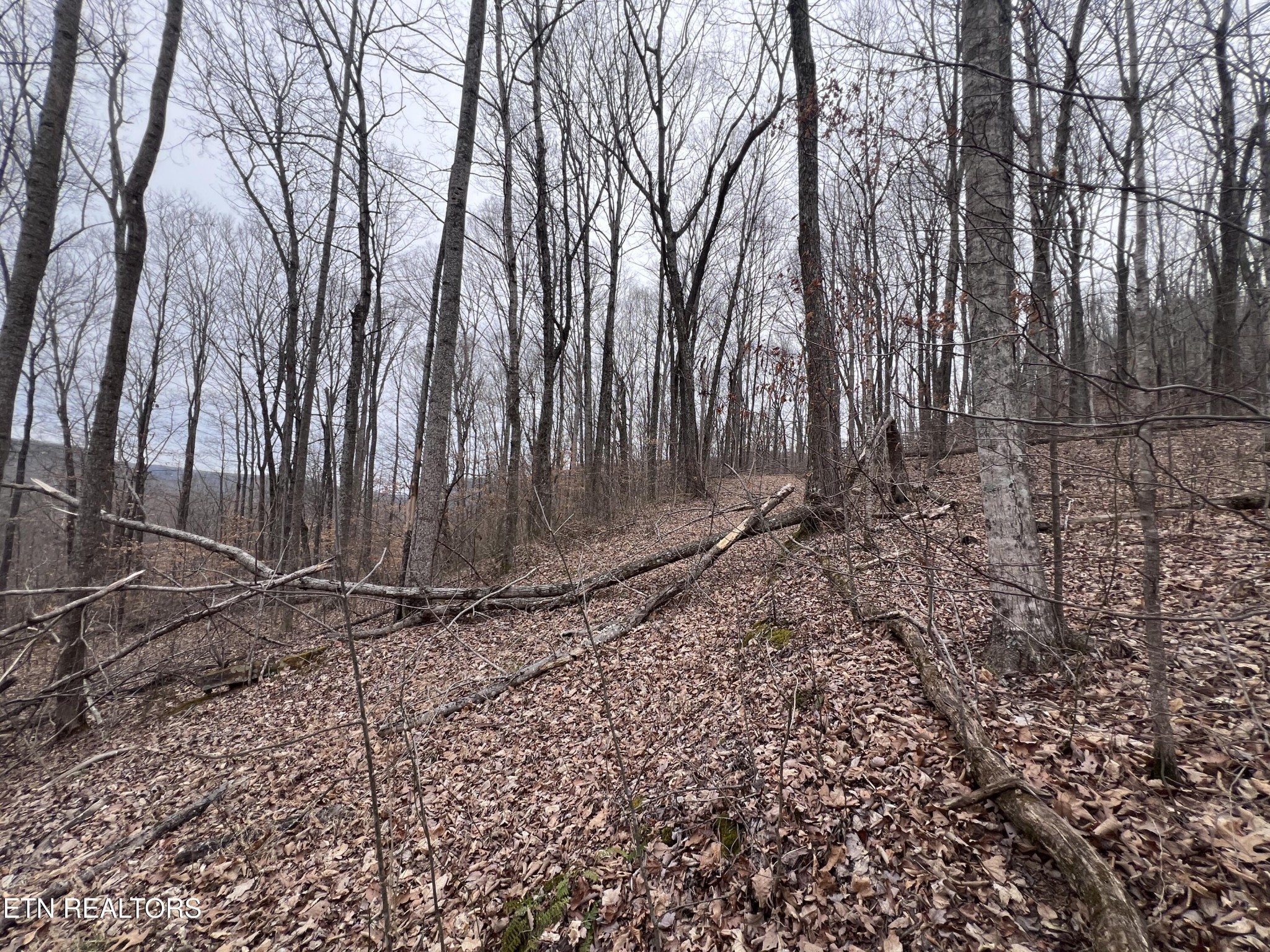0 Lot 62 Apache Road Jamestown TN 38556