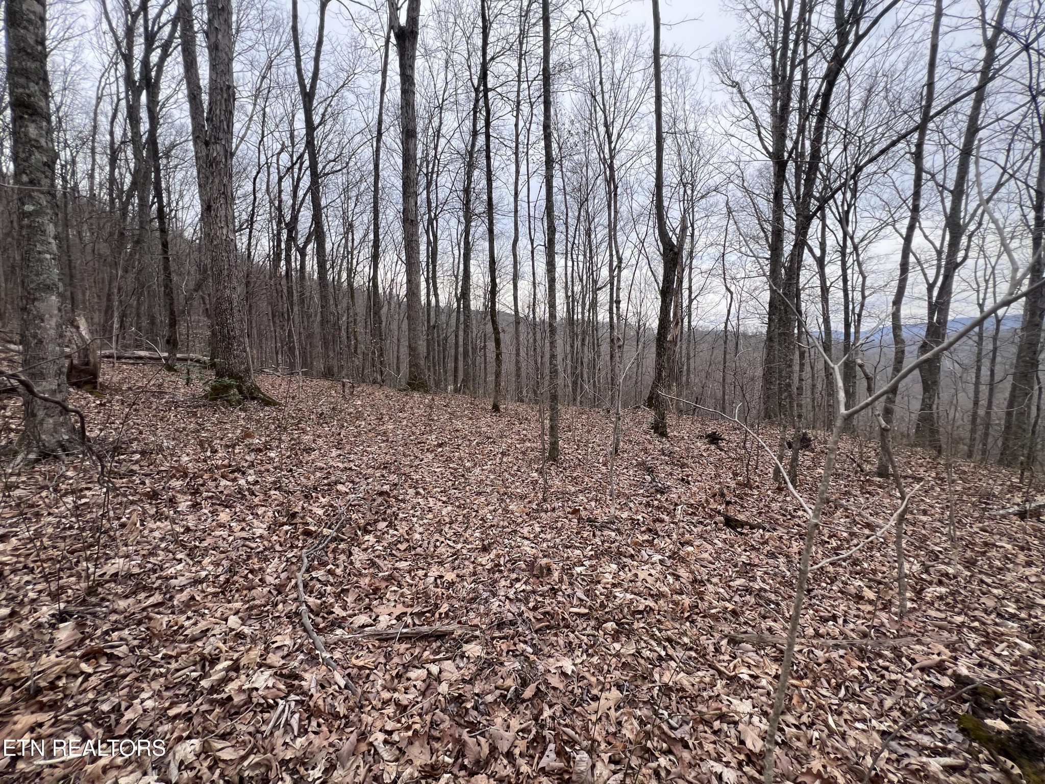 0 Lot 62 Apache Road Jamestown TN 38556