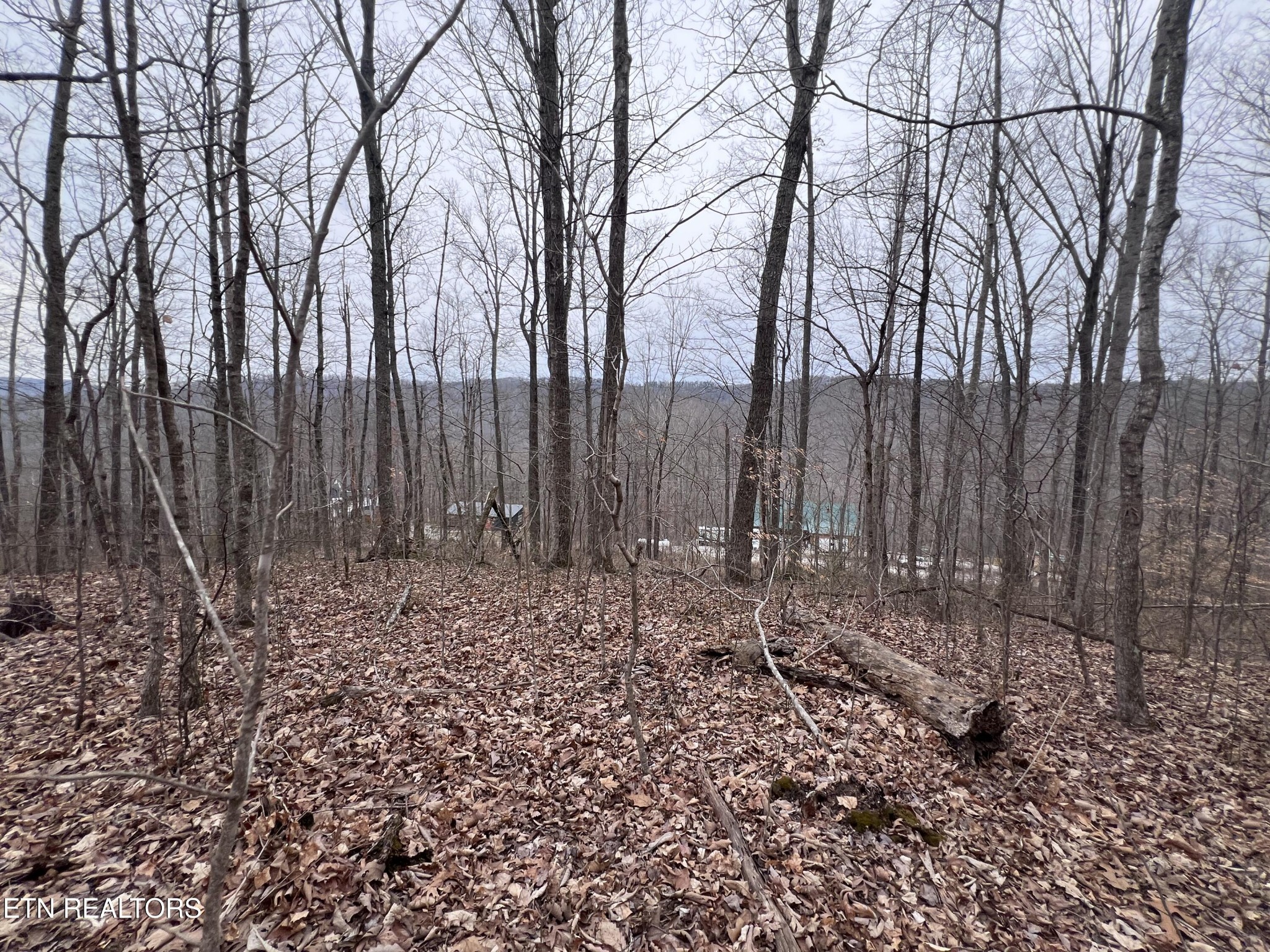 0 Lot 62 Apache Road Jamestown TN 38556
