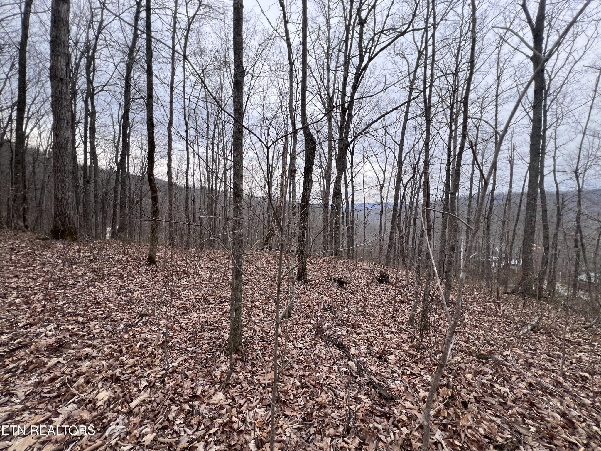 0 Lot 62 Apache Road Jamestown TN 38556