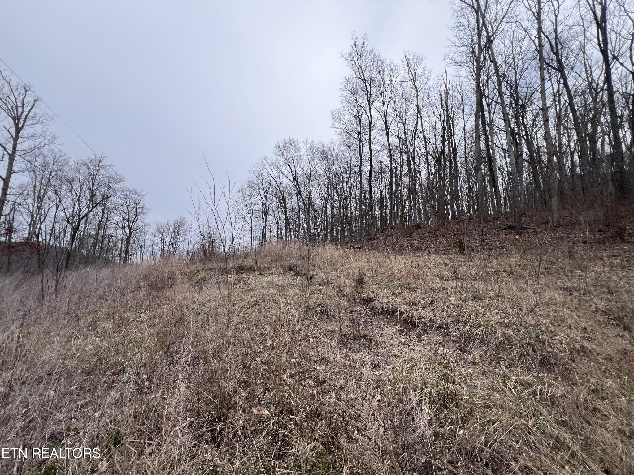 0 Lot 62 Apache Road Jamestown TN 38556