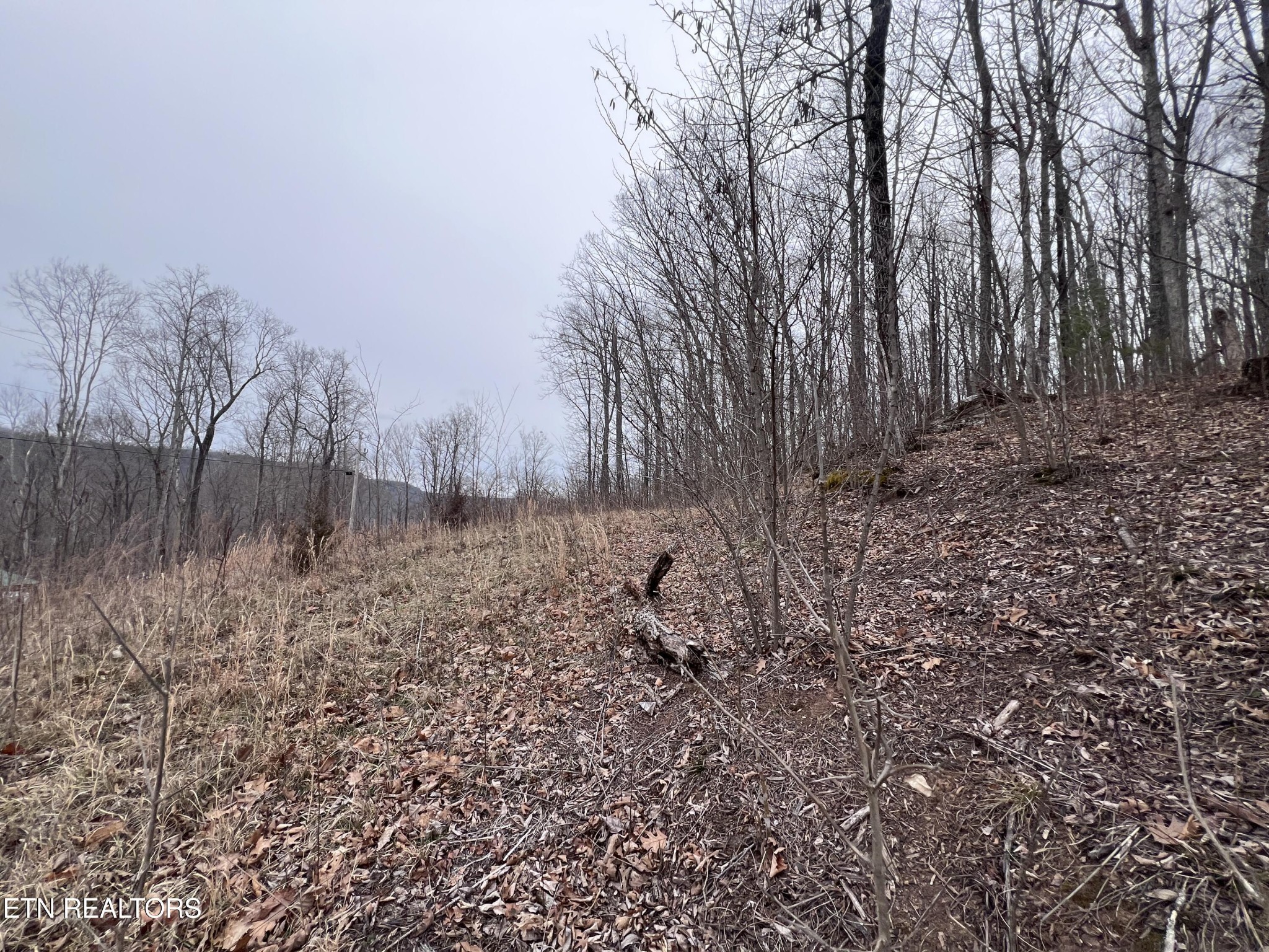 0 Lot 62 Apache Road Jamestown TN 38556