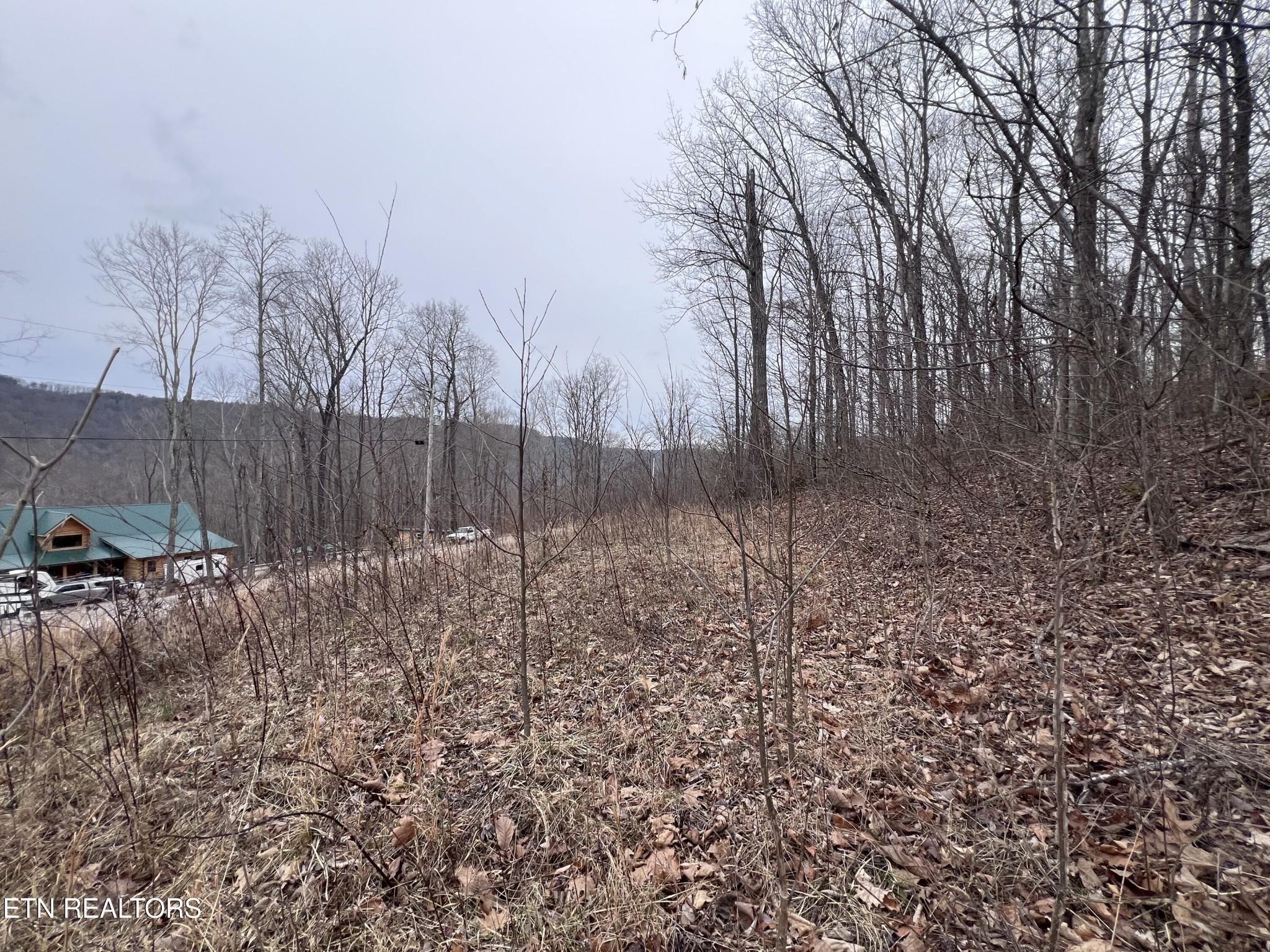 0 Lot 62 Apache Road Jamestown TN 38556