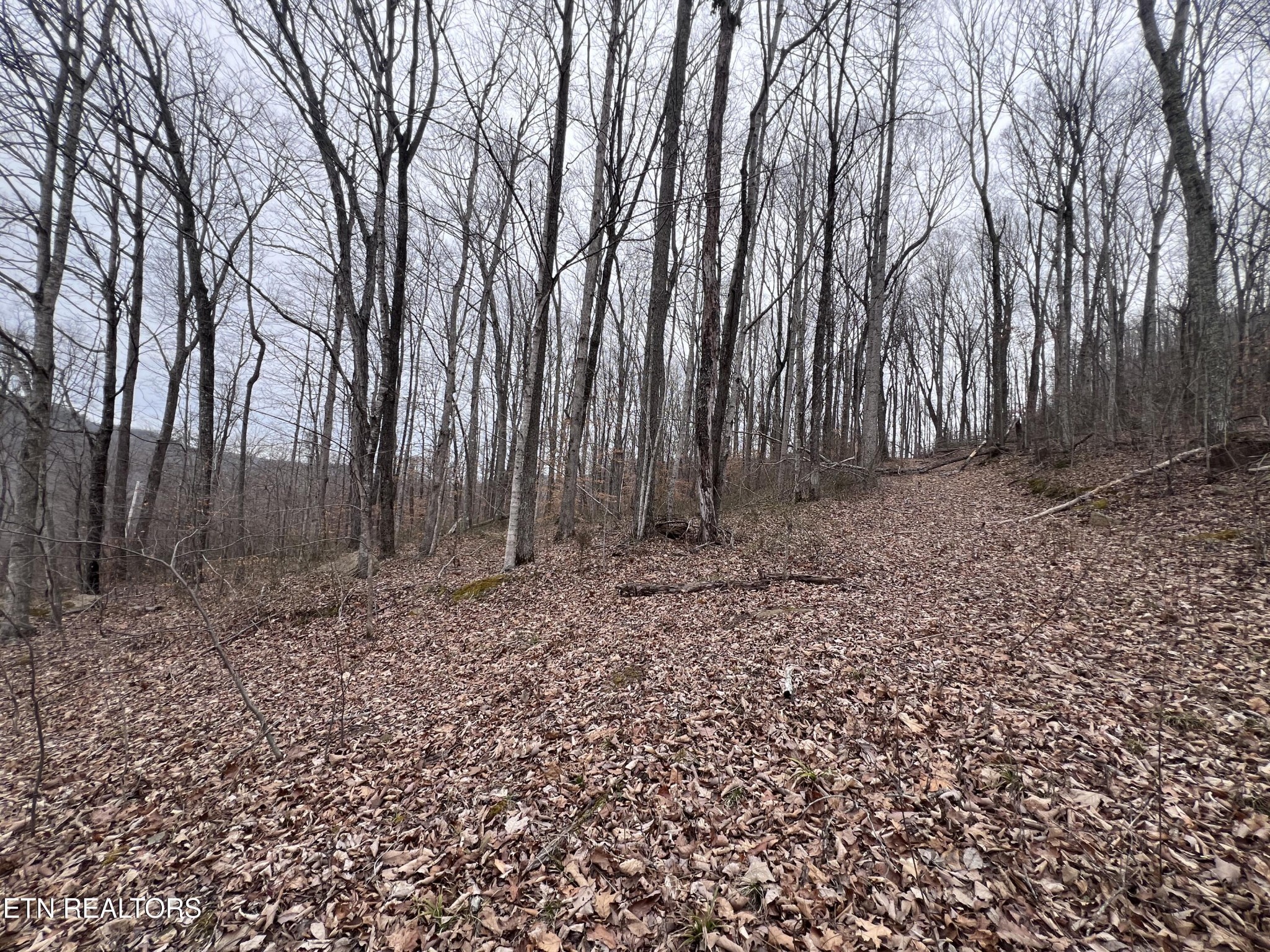 0 Lot 62 Apache Road Jamestown TN 38556