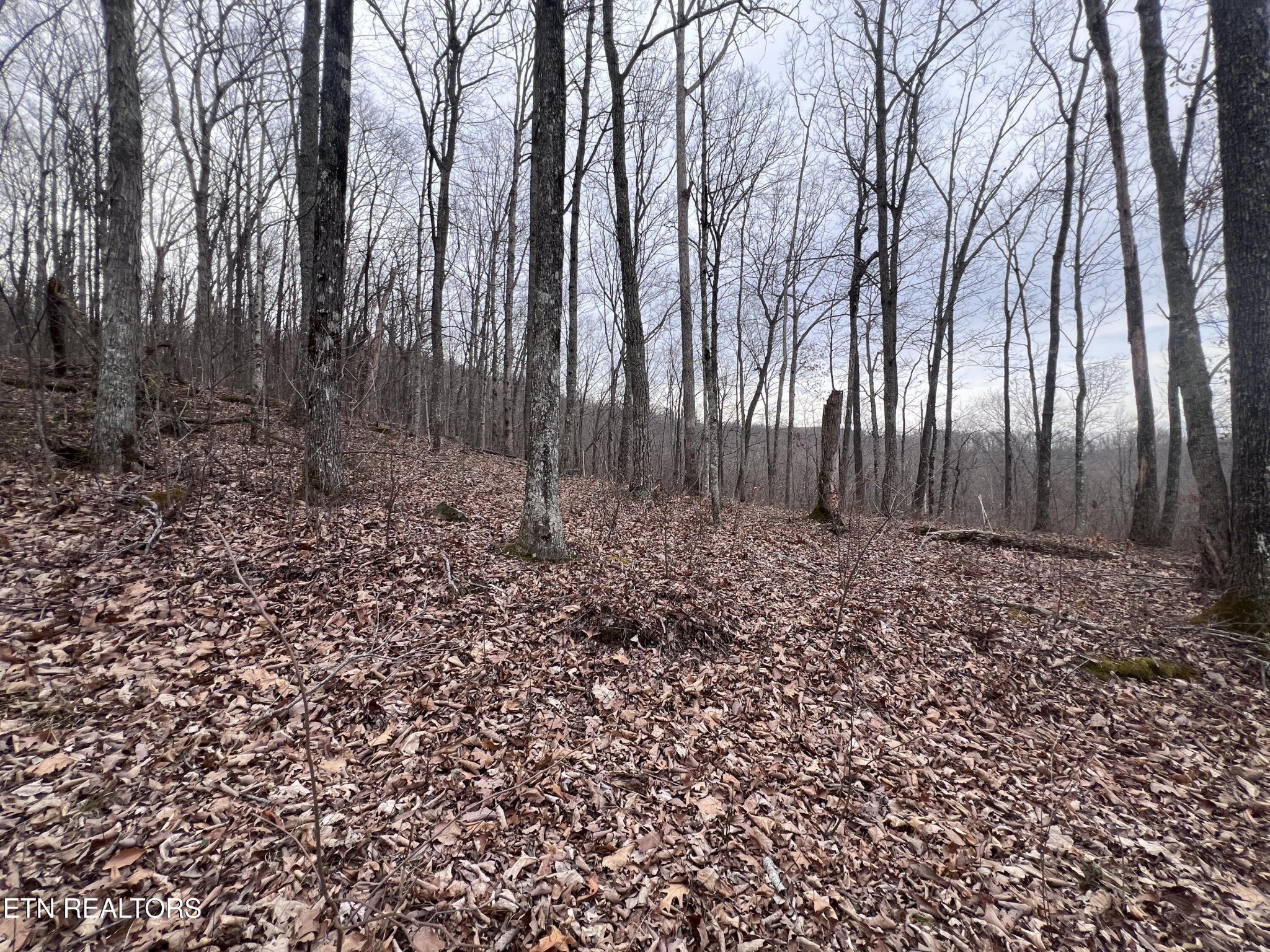 0 Lot 62 Apache Road Jamestown TN 38556