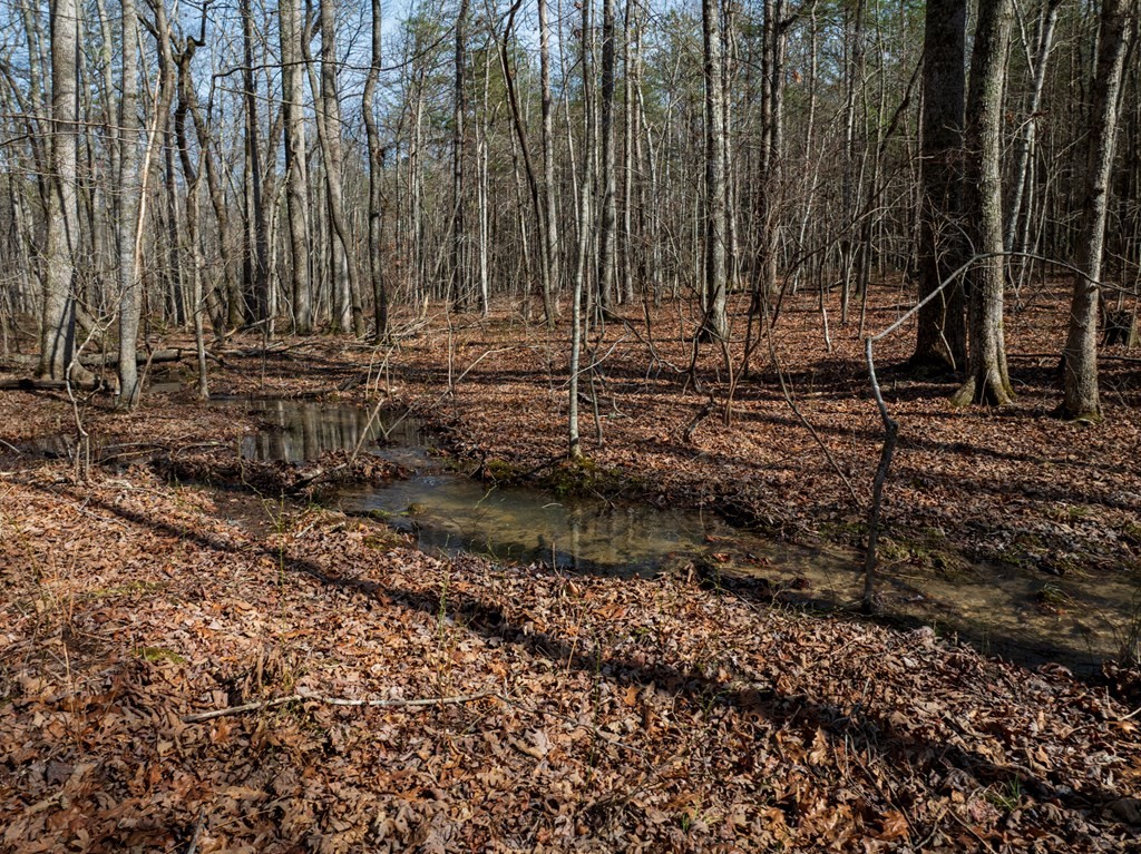 0 Forest View Drive Spencer TN 38585