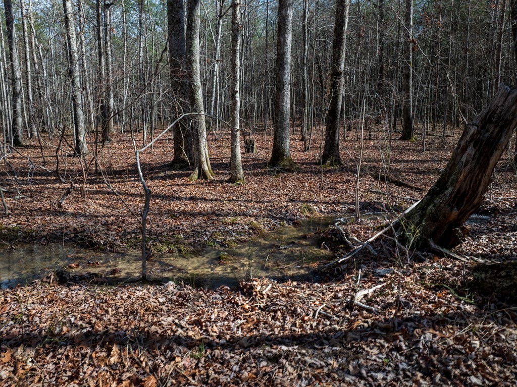 0 Forest View Drive Spencer TN 38585