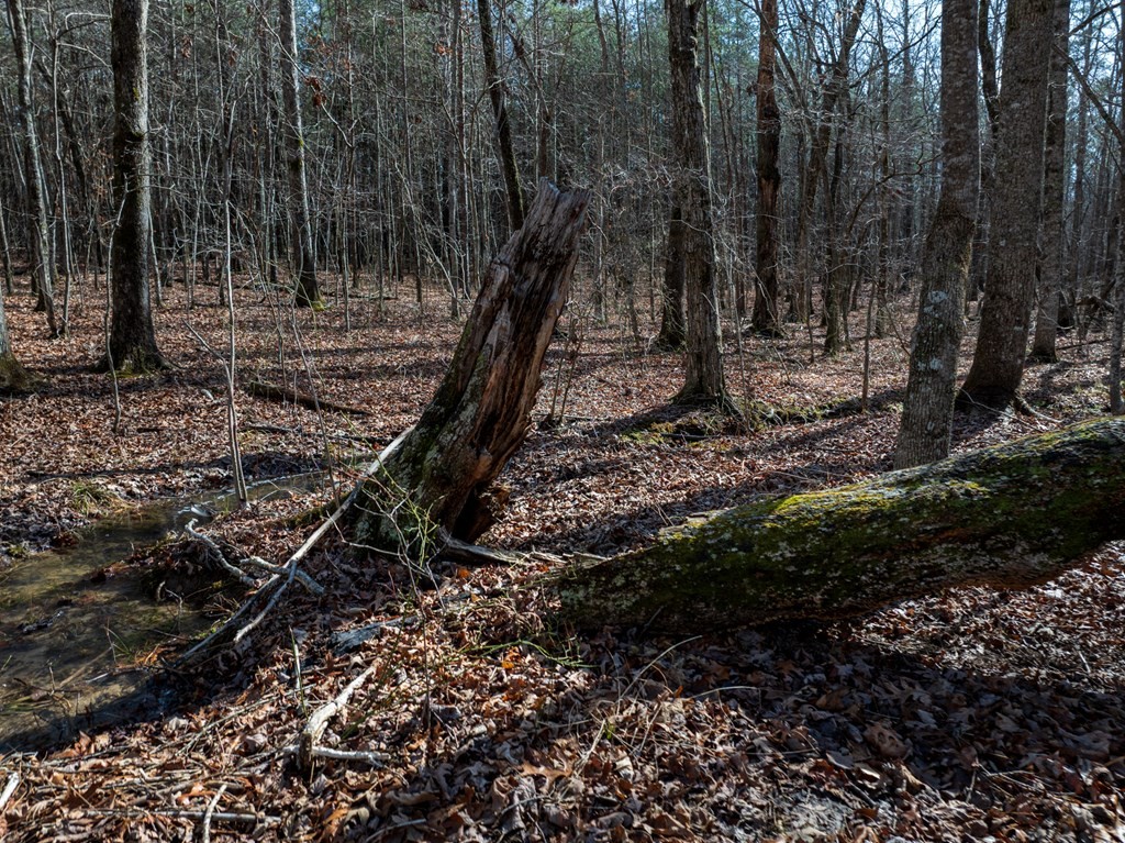 0 Forest View Drive Spencer TN 38585