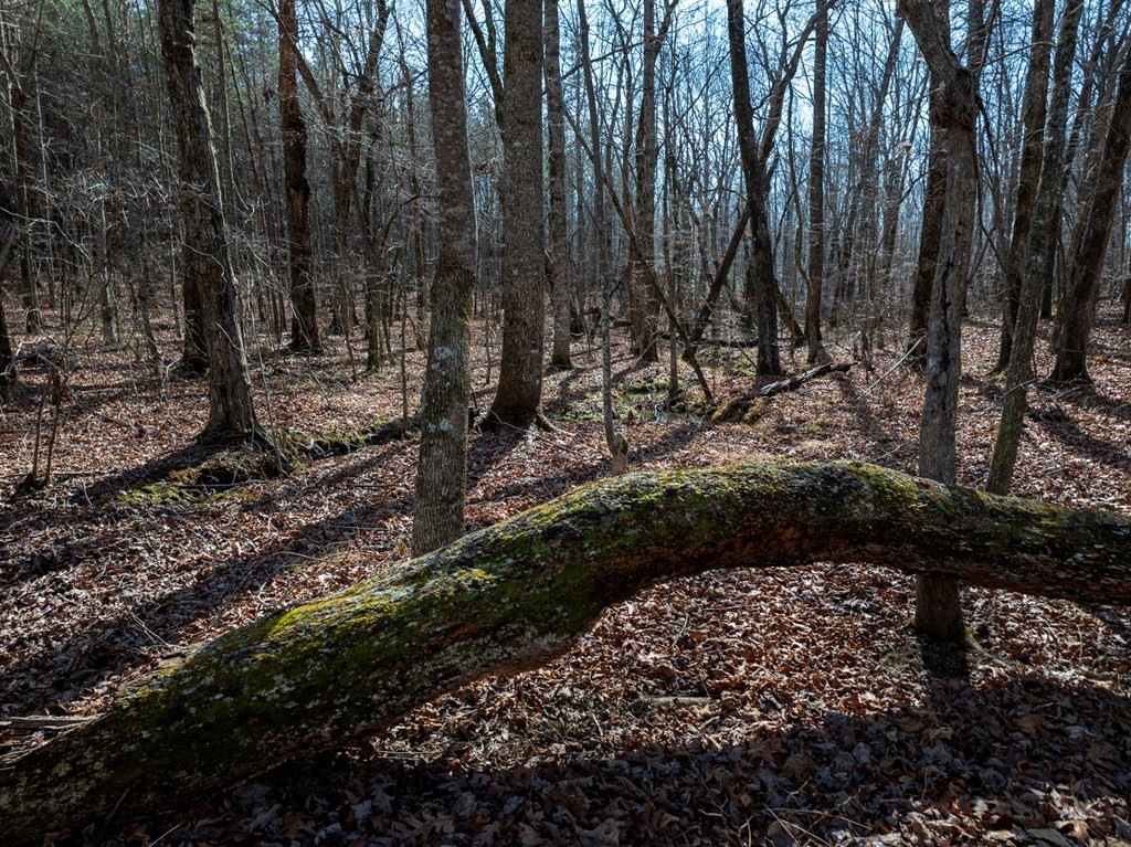 0 Forest View Drive Spencer TN 38585