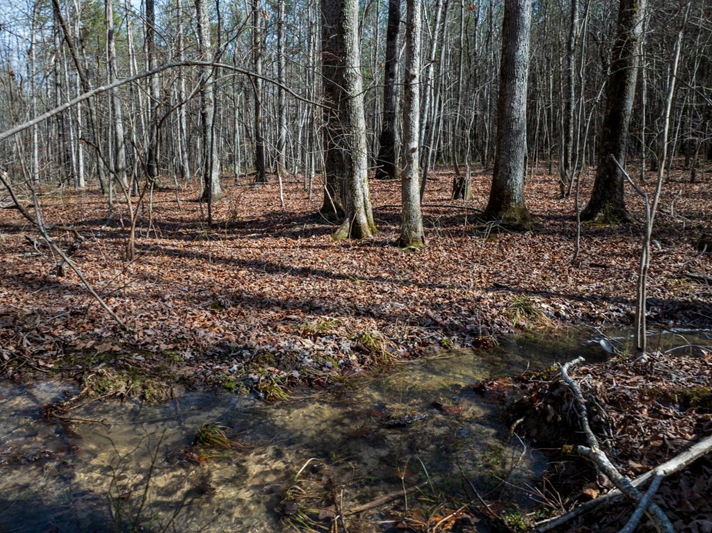 0 Forest View Drive Spencer TN 38585