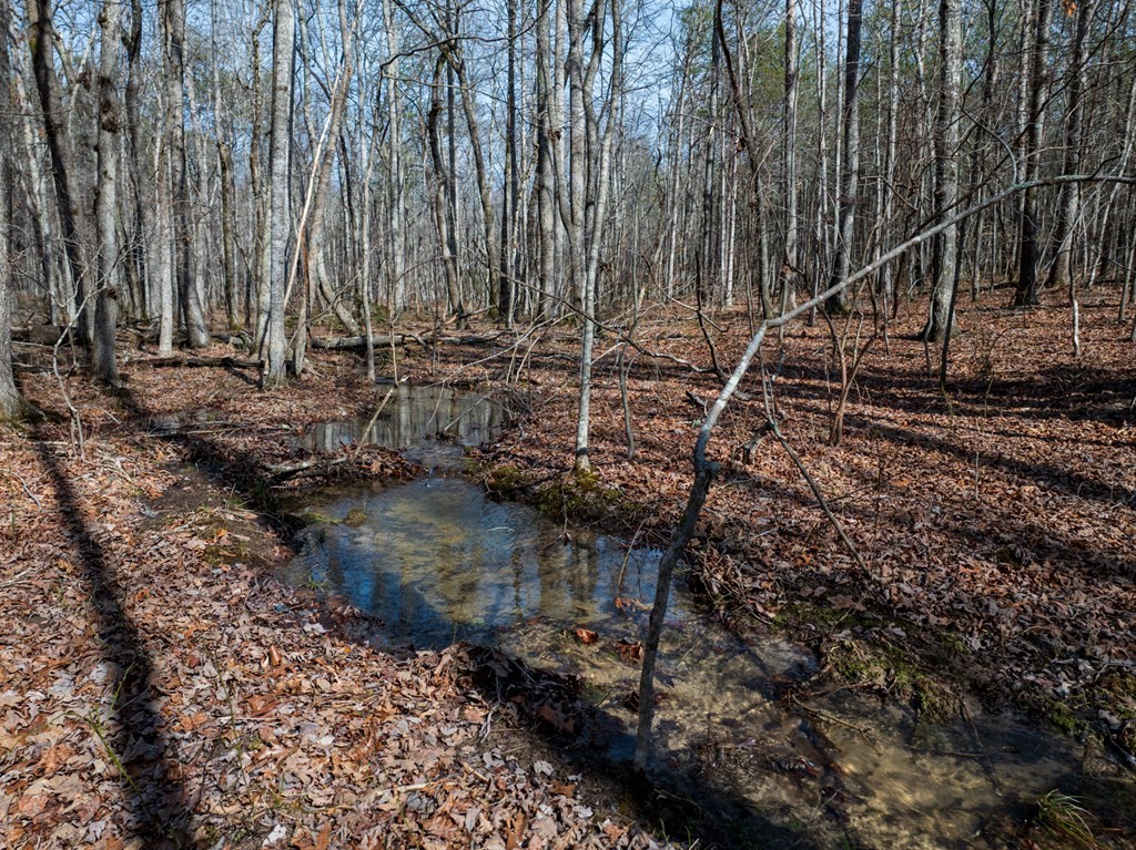 0 Forest View Drive Spencer TN 38585