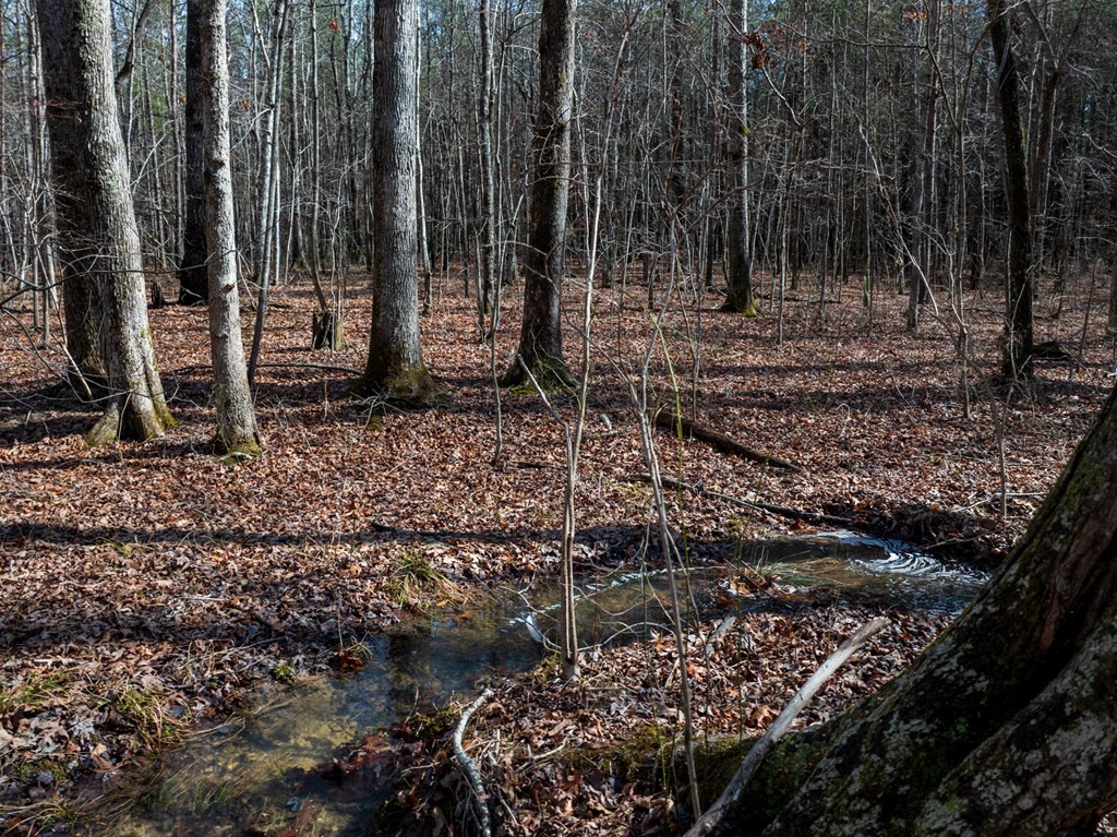 0 Forest View Drive Spencer TN 38585