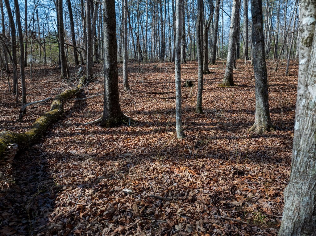 0 Forest View Drive Spencer TN 38585