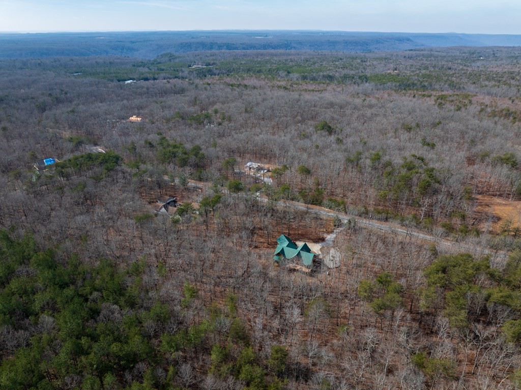 0 Forest View Drive Spencer TN 38585