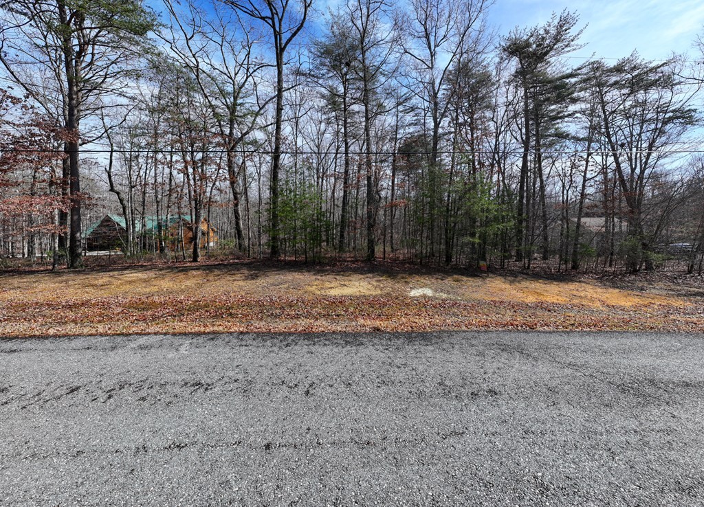 0 Forest View Drive Spencer TN 38585