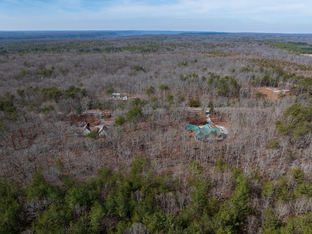 0 Forest View Drive Spencer TN 38585