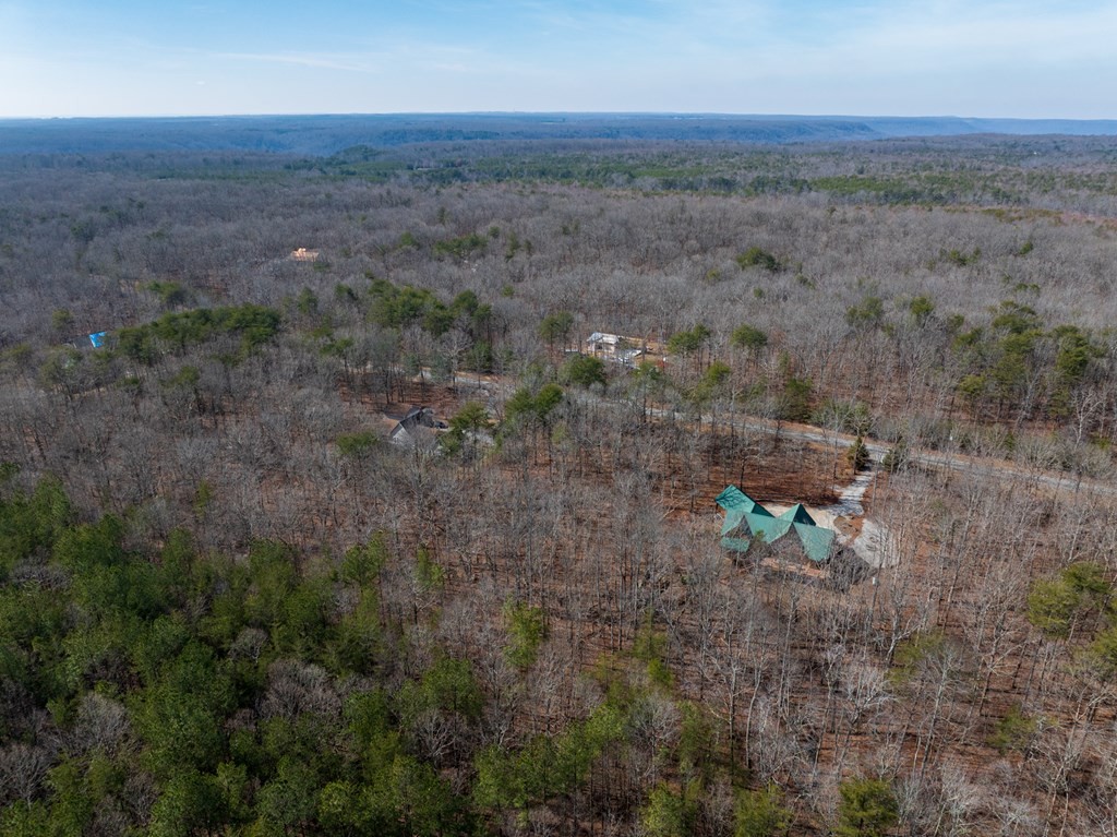 0 Forest View Drive Spencer TN 38585