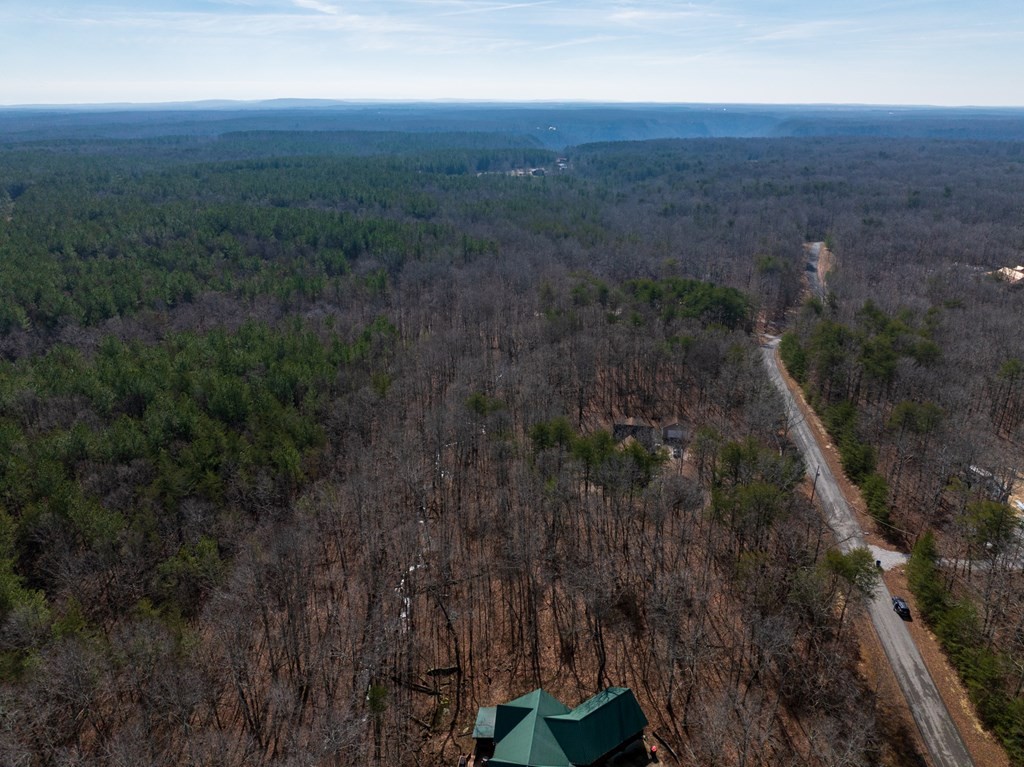 0 Forest View Drive Spencer TN 38585