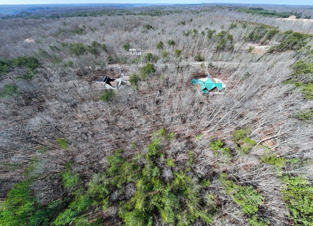 0 Forest View Drive Spencer TN 38585