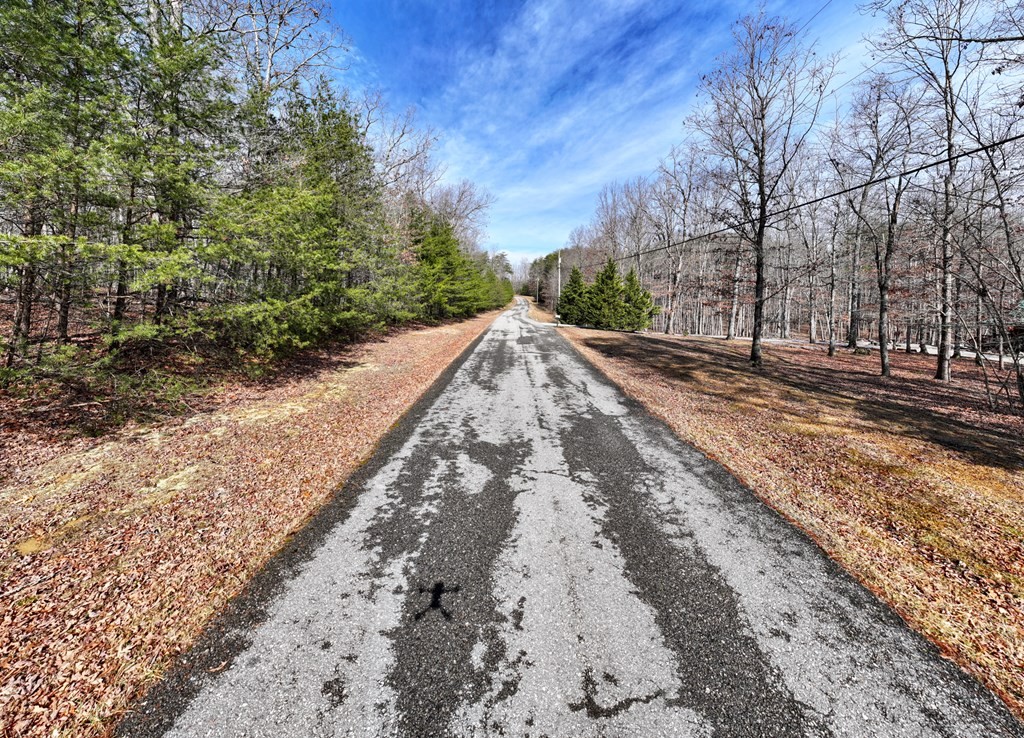 0 Forest View Drive Spencer TN 38585