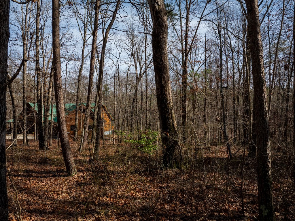 0 Forest View Drive Spencer TN 38585