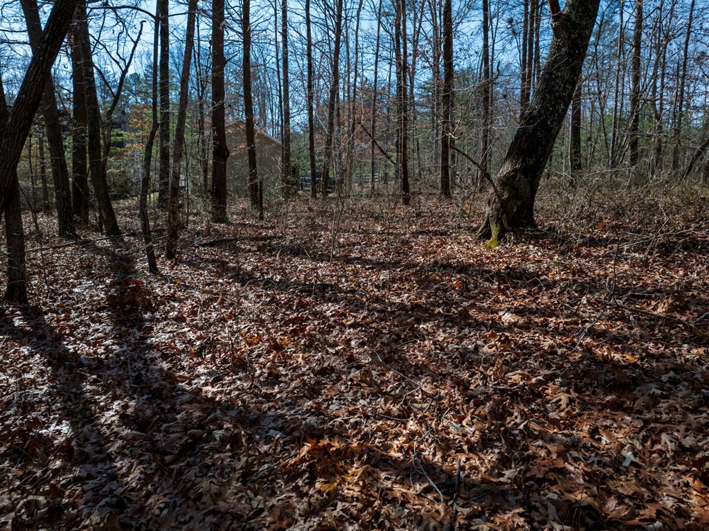 0 Forest View Drive Spencer TN 38585
