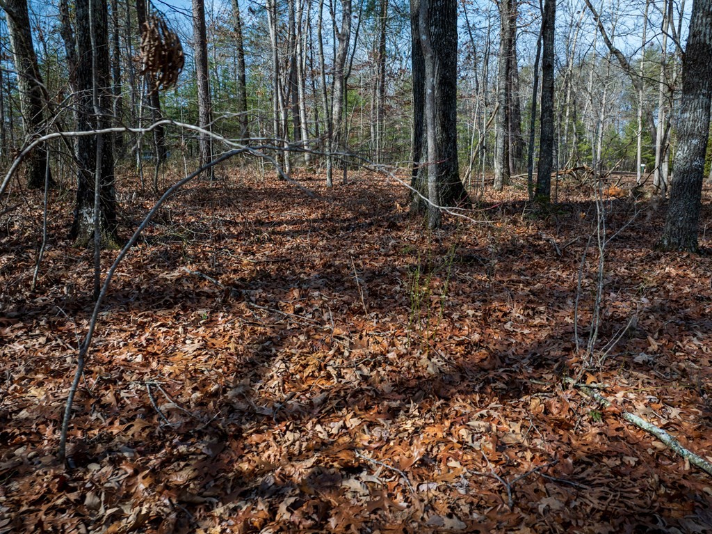 0 Forest View Drive Spencer TN 38585