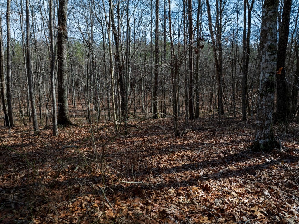 0 Forest View Drive Spencer TN 38585