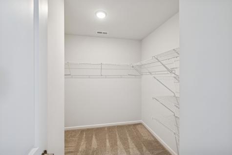3153 Chaplins Trace Columbia TN 38401
