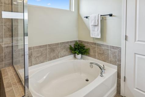 3153 Chaplins Trace Columbia TN 38401