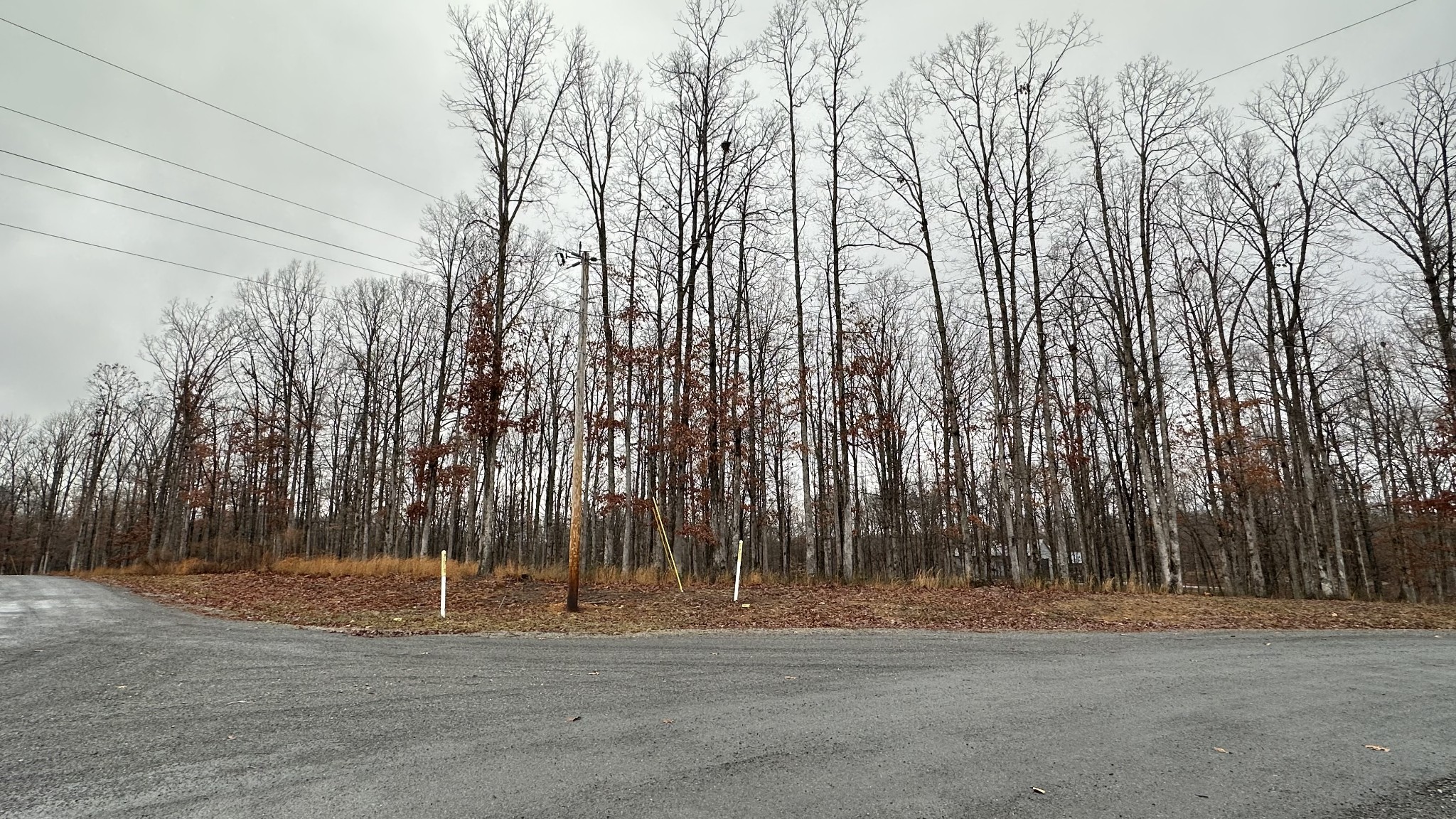 1385 Ridgewood Drive Mc Ewen TN 37101