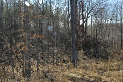 53 Highway 156 South Pittsburg TN 37380