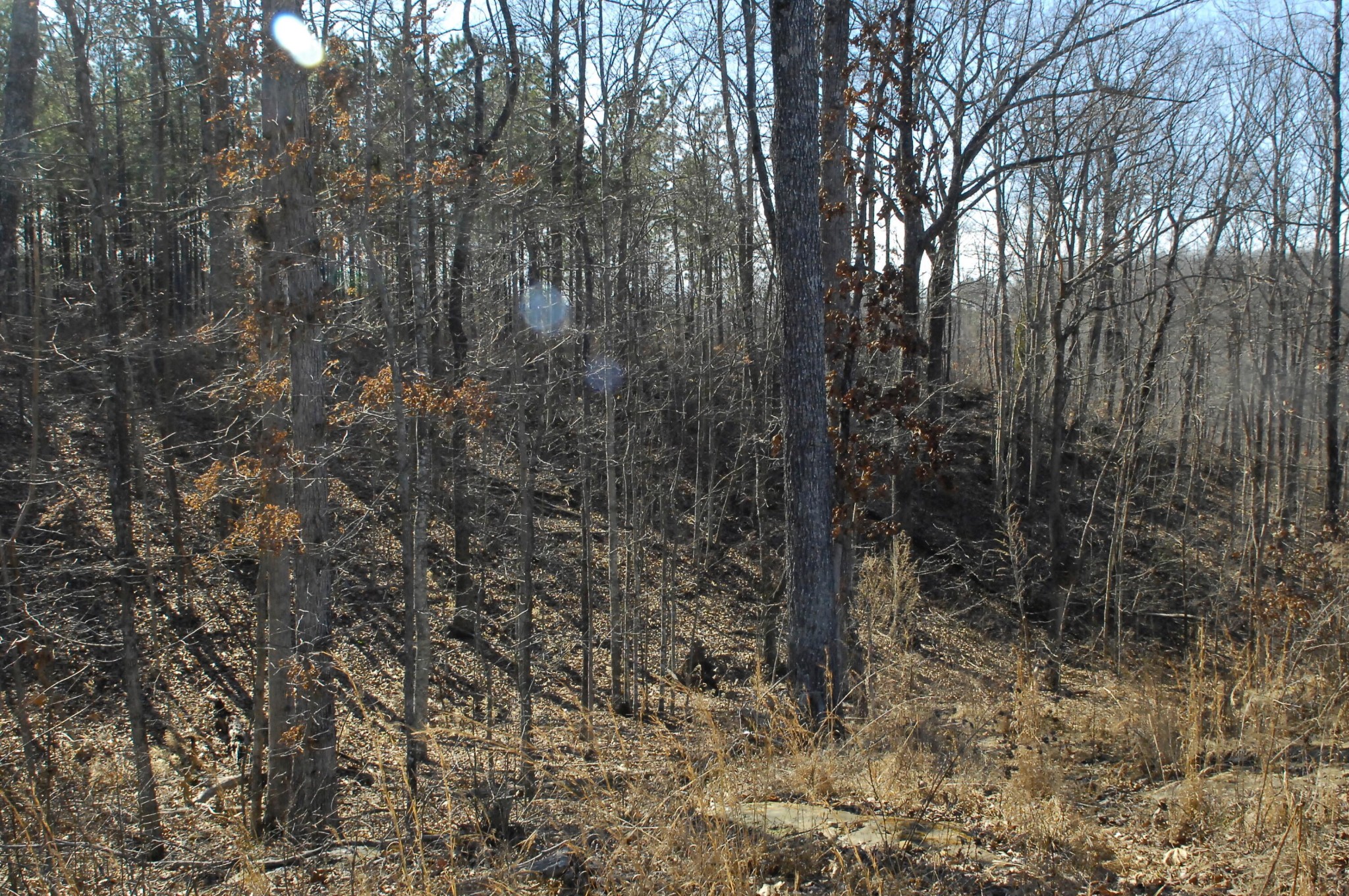 53 Highway 156 South Pittsburg TN 37380