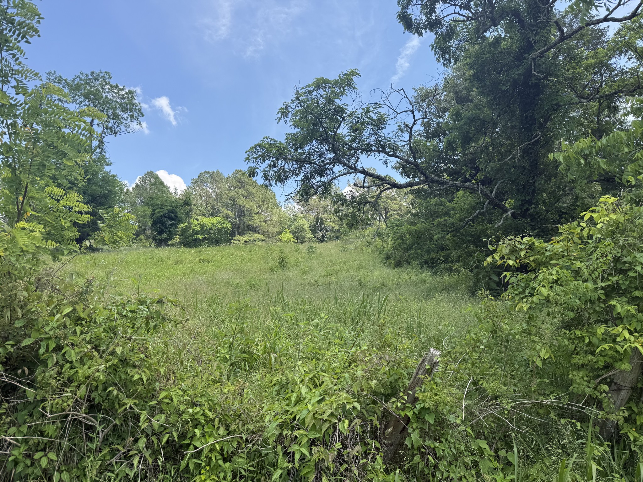 481 Rolin Hollow Road Ardmore TN 38449