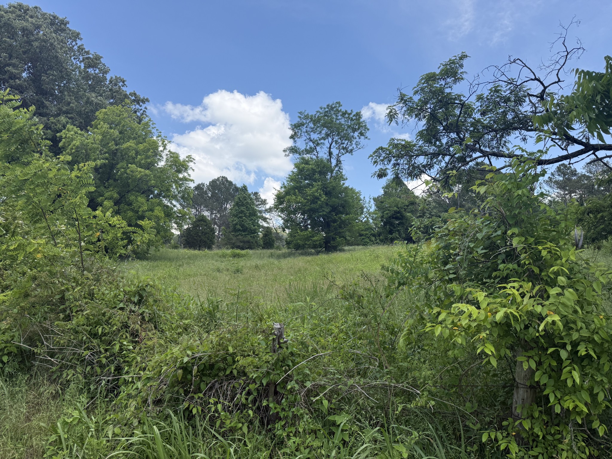 481 Rolin Hollow Road Ardmore TN 38449