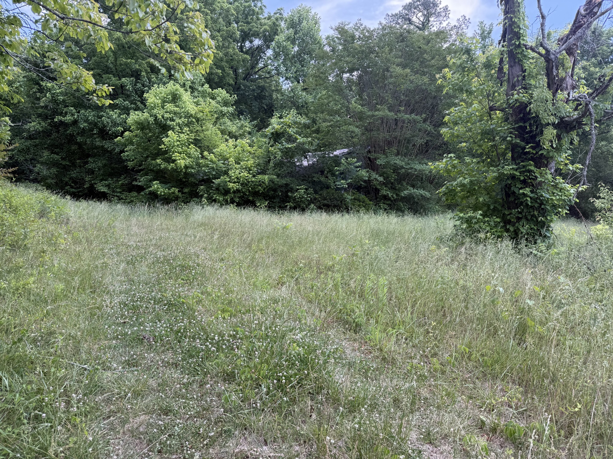 481 Rolin Hollow Road Ardmore TN 38449