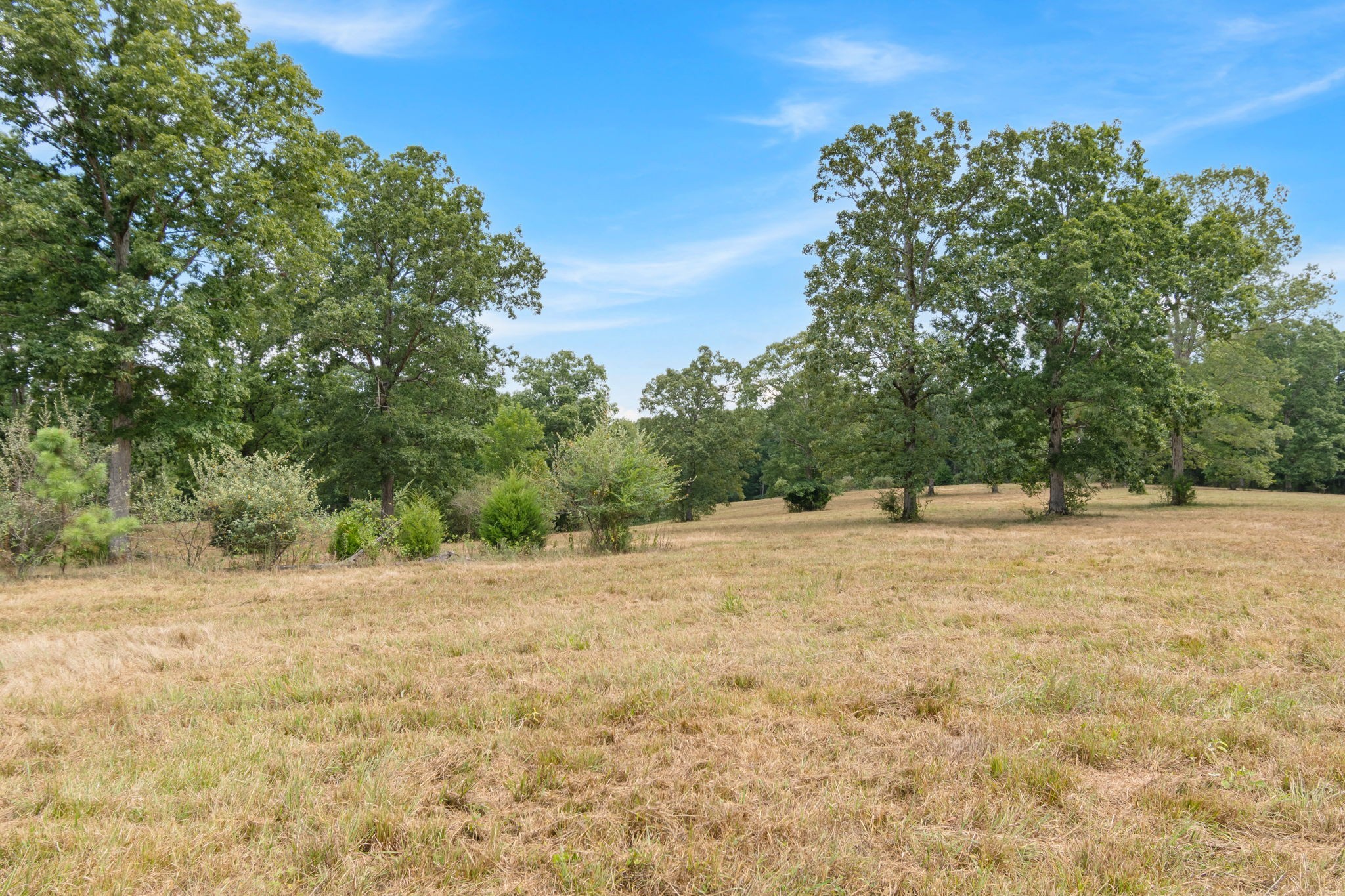 2820 Skyview Drive Centerville TN 37033