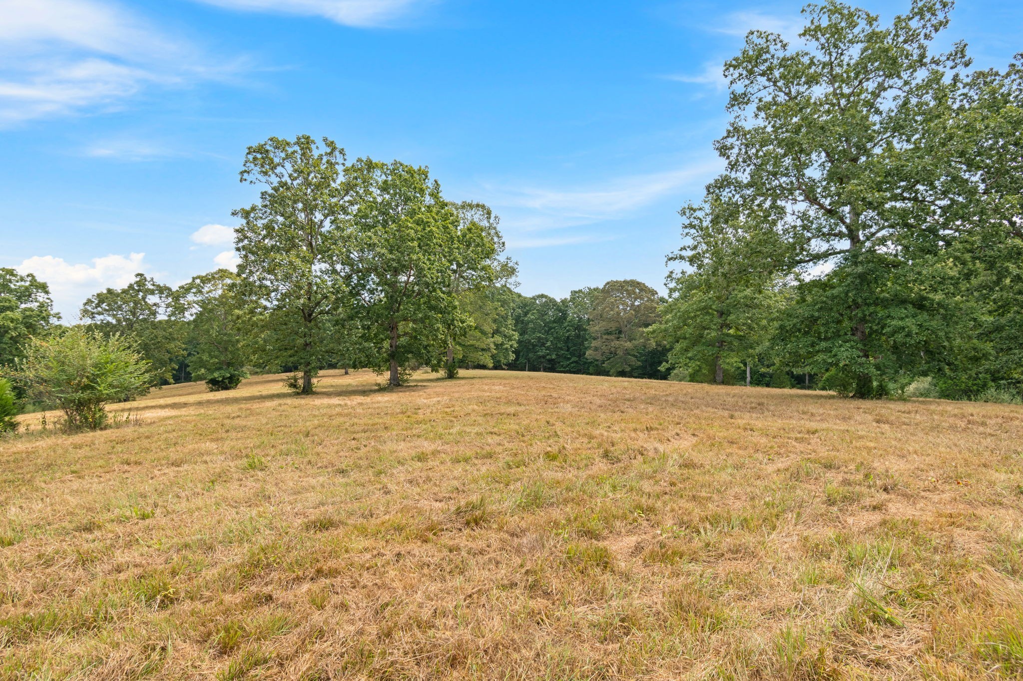 2820 Skyview Drive Centerville TN 37033