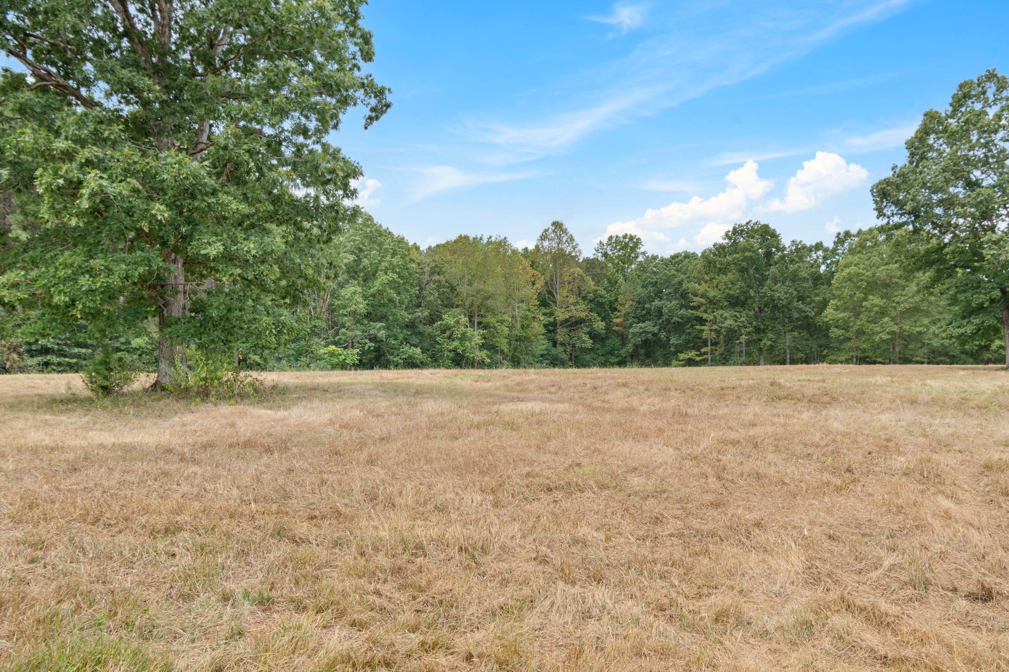 2820 Skyview Drive Centerville TN 37033
