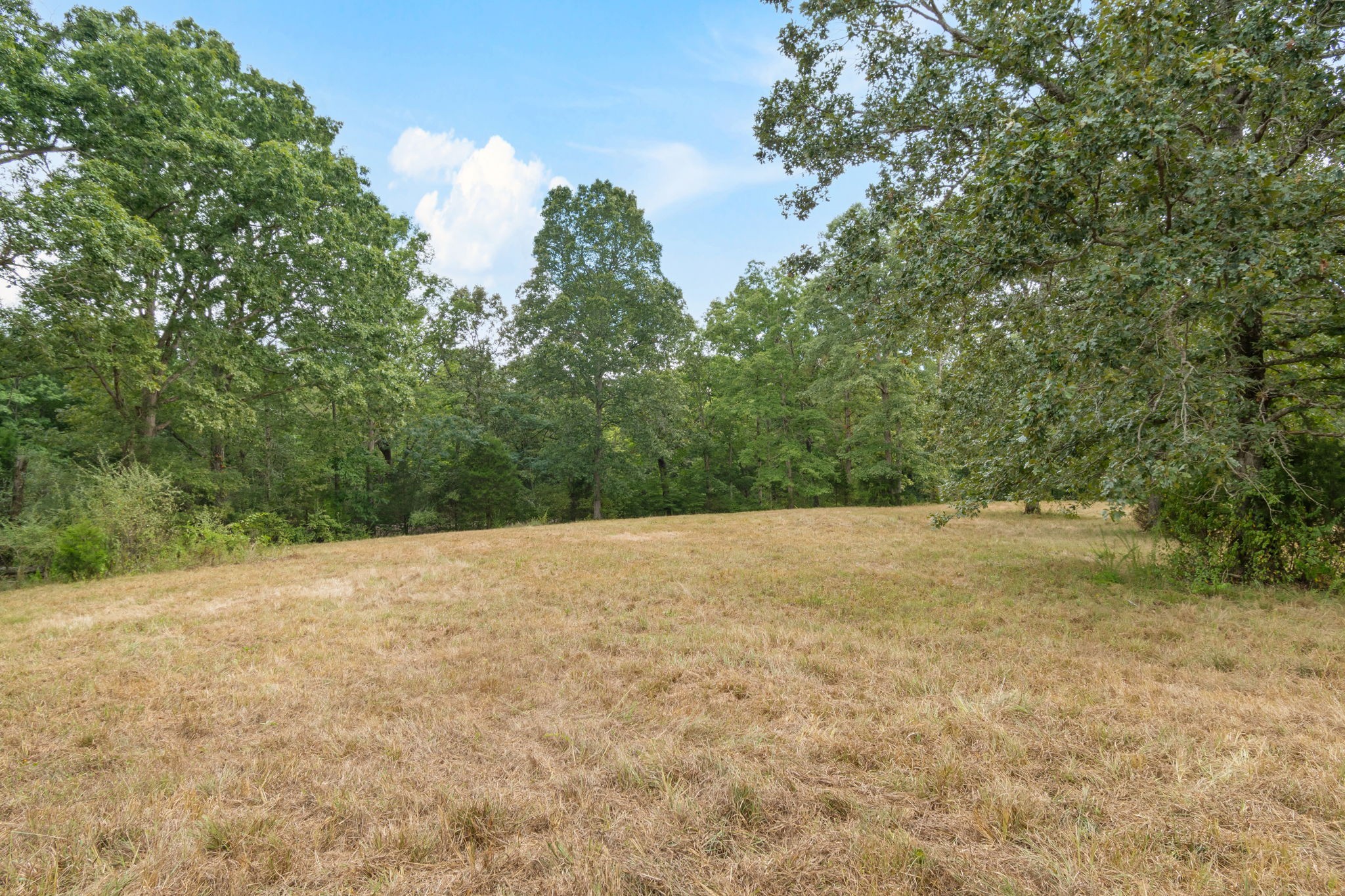 2820 Skyview Drive Centerville TN 37033