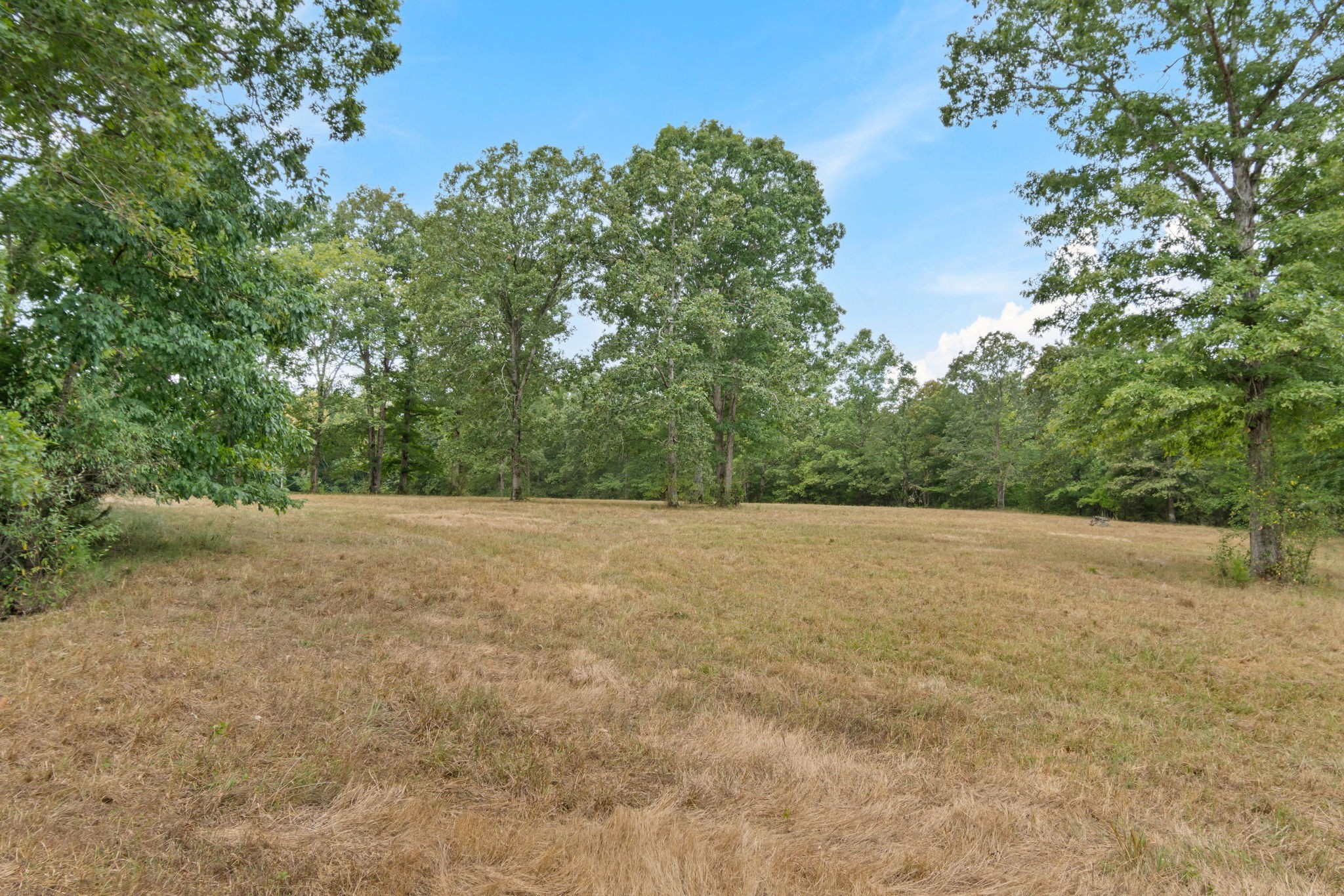 2820 Skyview Drive Centerville TN 37033