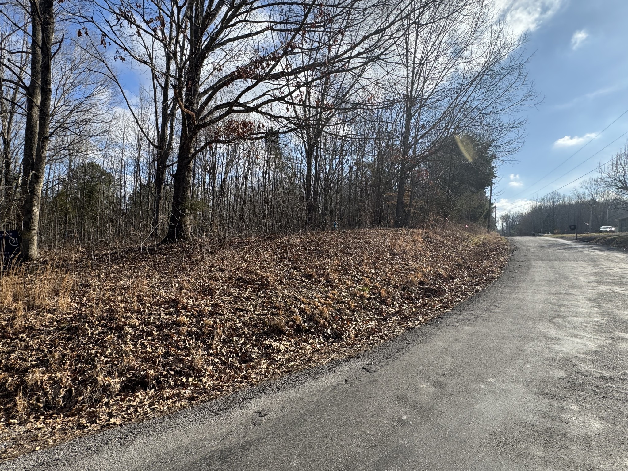 0 Crestview Drive Bumpus Mills TN 37028