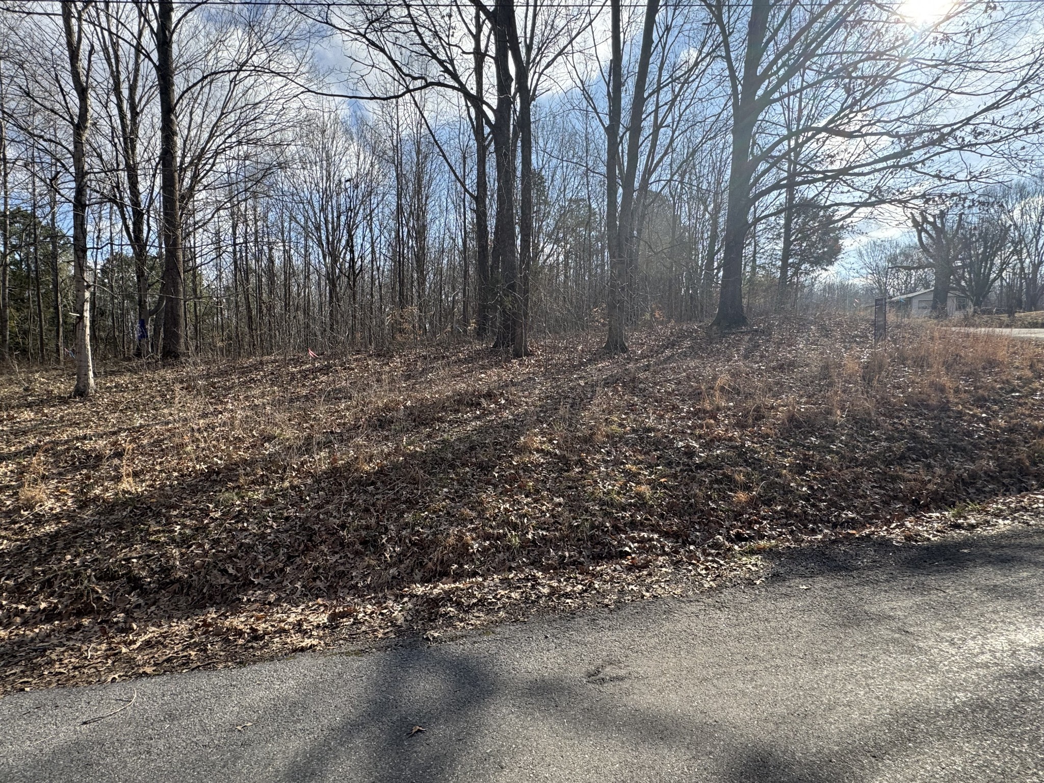 0 Crestview Drive Bumpus Mills TN 37028