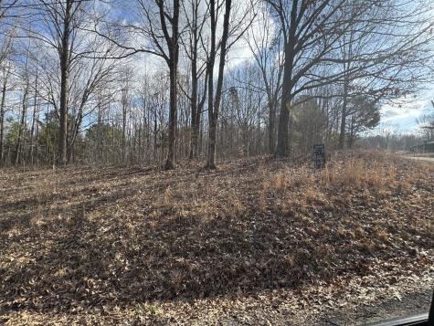 0 Crestview Drive Bumpus Mills TN 37028