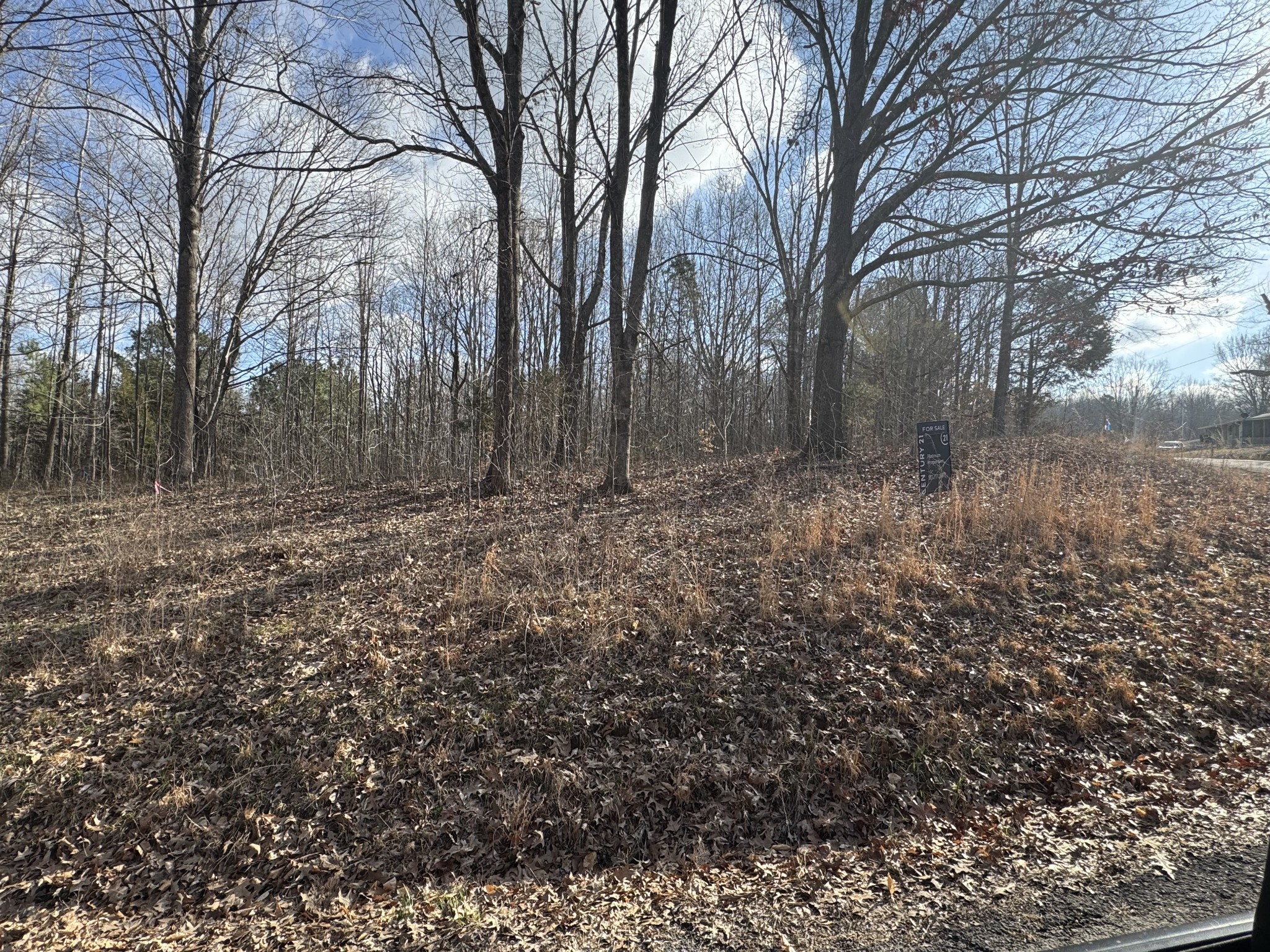 0 Crestview Drive Bumpus Mills TN 37028