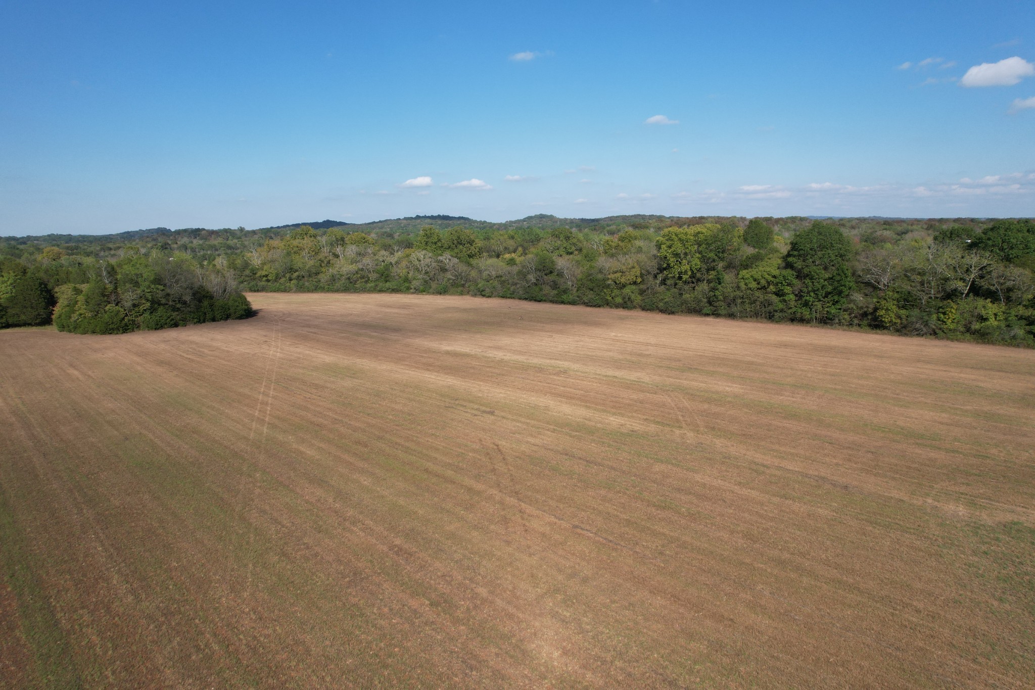 0 Highway 431 Columbia TN 38401