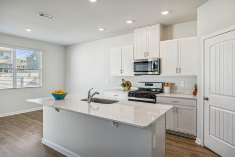7193 Golden Way White House TN 37188