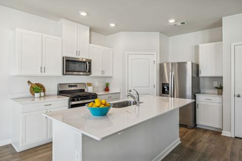 7193 Golden Way White House TN 37188