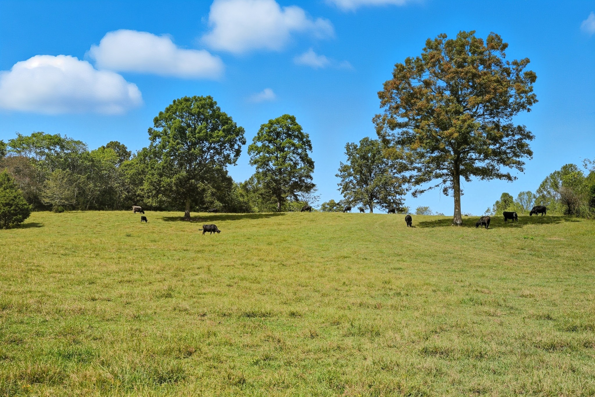 2 Smithville Highway Sparta TN 38583